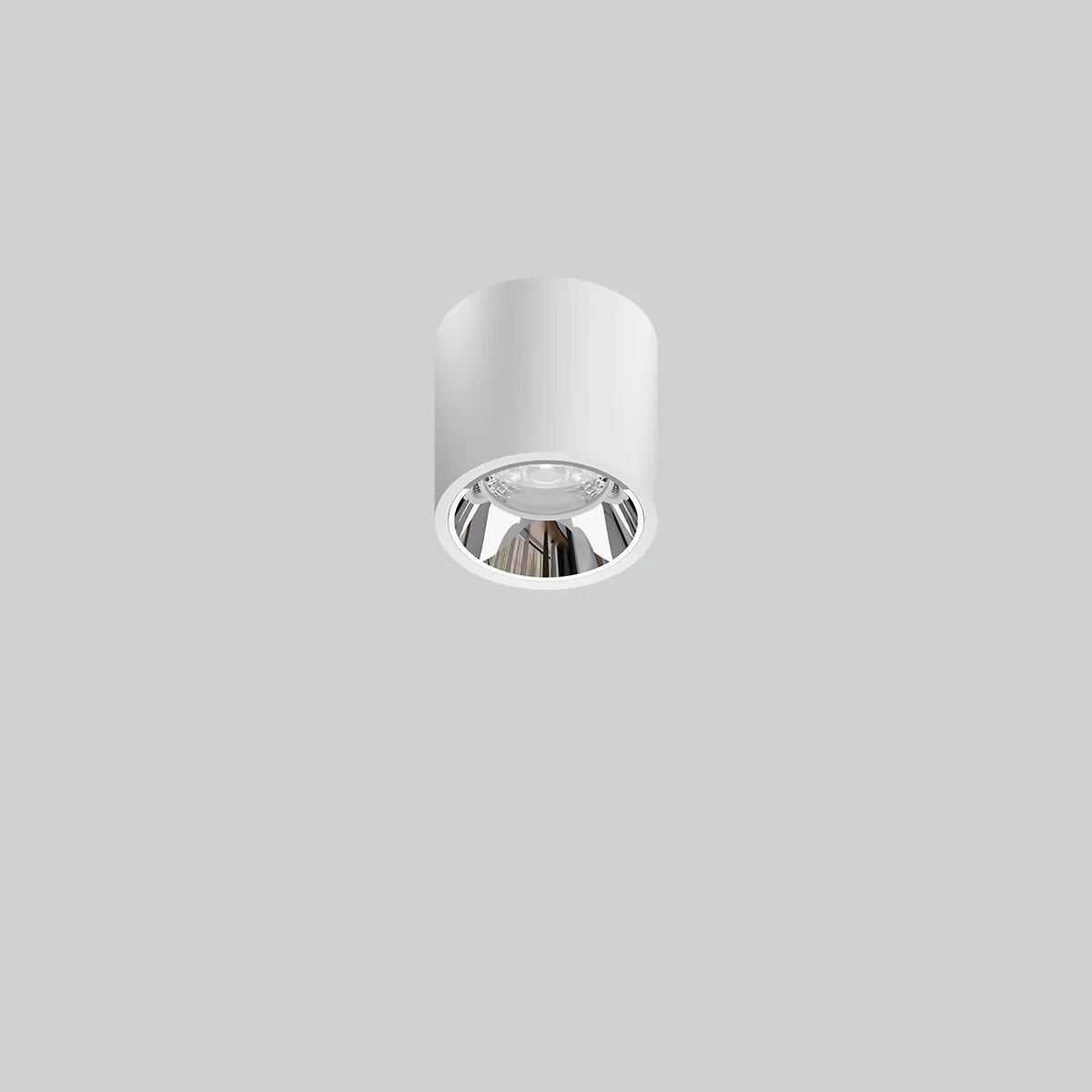 TLA SURFACE MOUNTED LIGHT