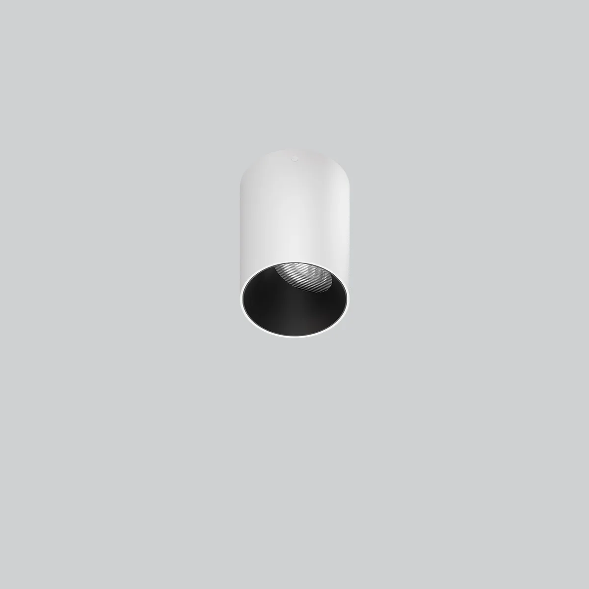 WASHO SURFACE MOUNTED LIGHT