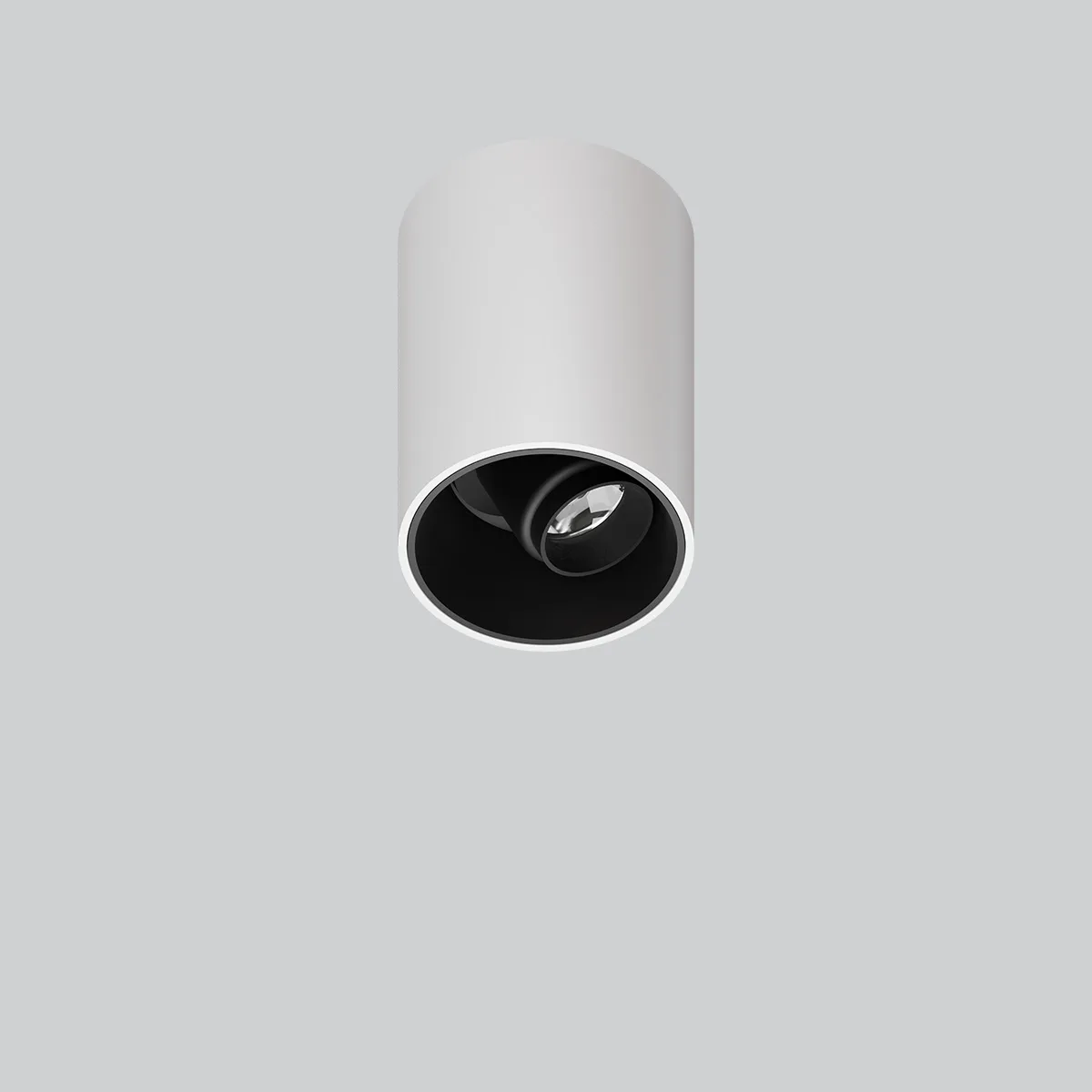 ADJ SURFACE MOUNTED LIGHT