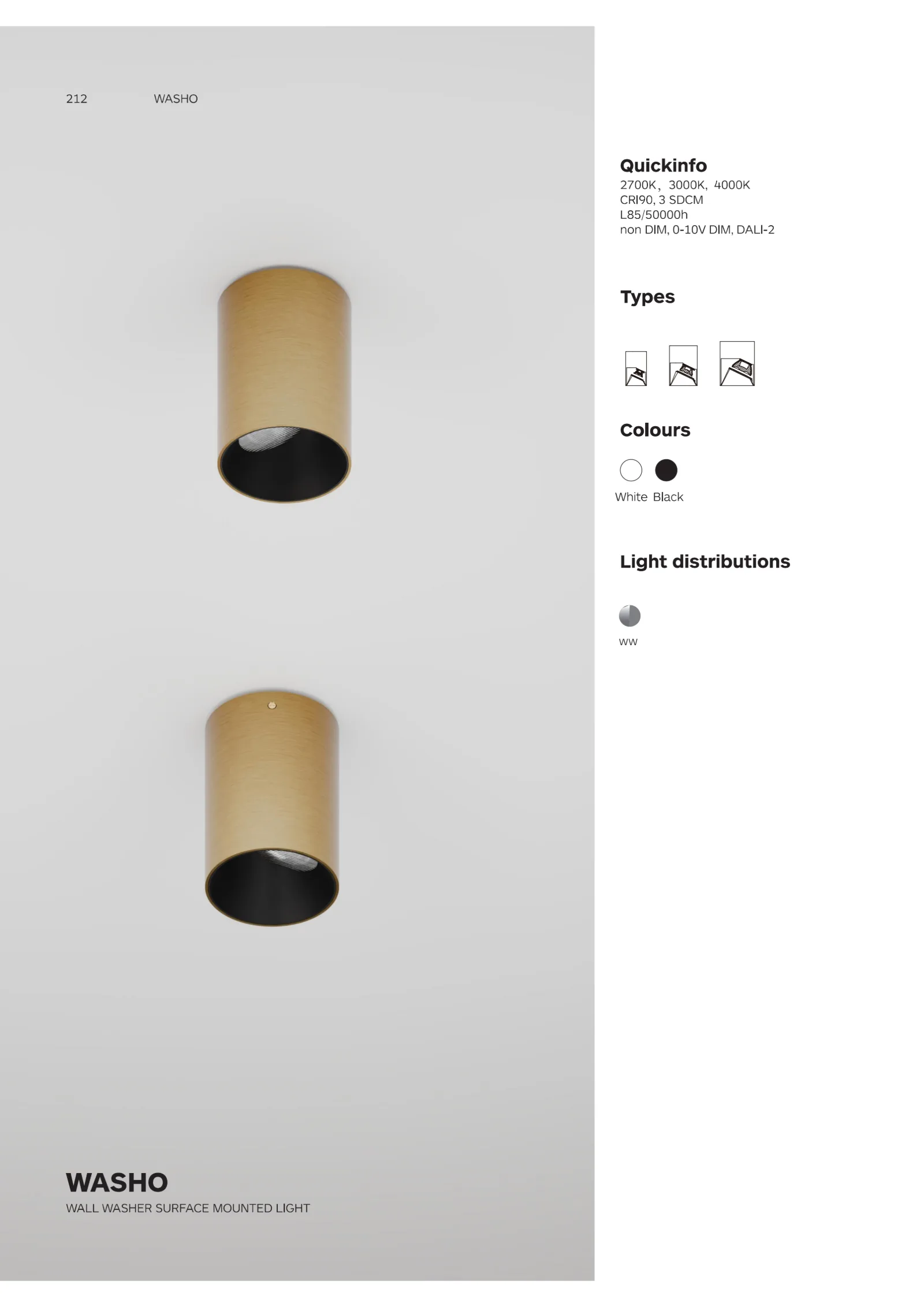 WASHO Surface Wall Washer Catalogue cover showing asymmetric optical design for smooth vertical illumination and architectural surface-mounted lighting.