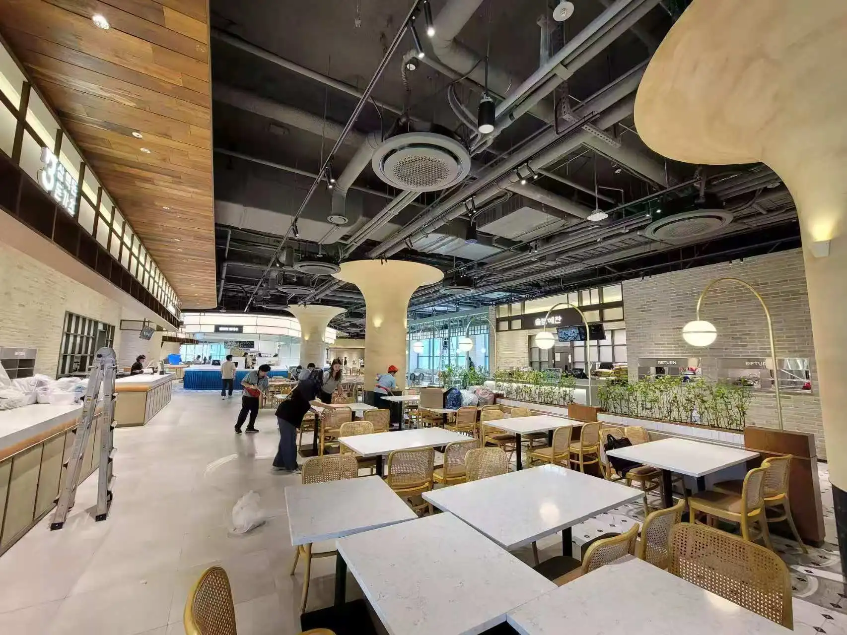 Tasty Ground | Busan, Korea