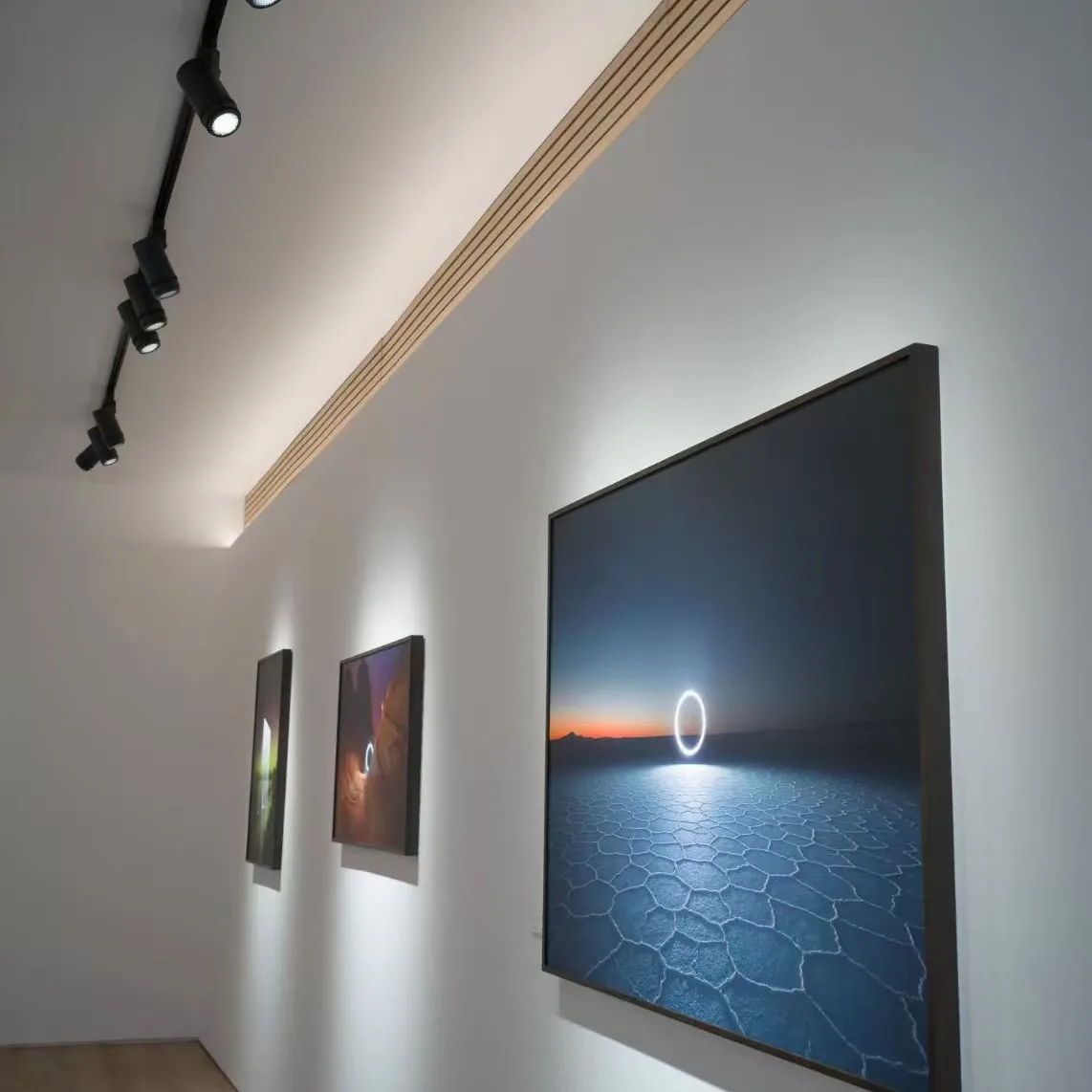 Gallery Lighting with ARTAX projection track light